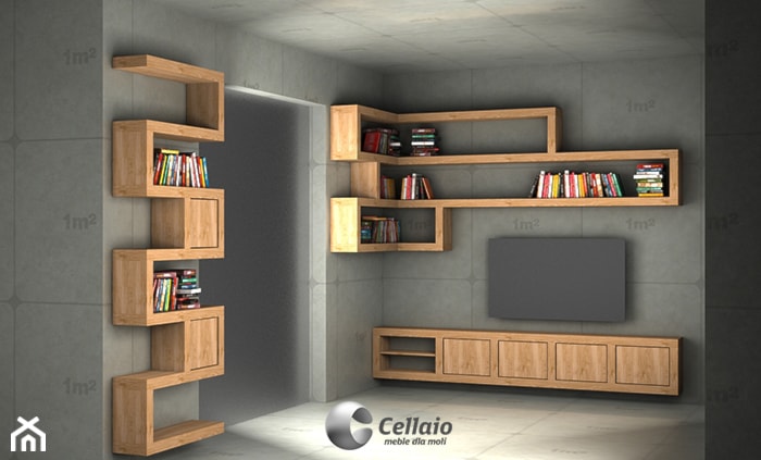 Cellaio - meble do salonu - zdjęcie od Cellaio - półki na książki - Homebook