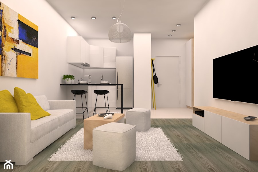 projekt mieszkania we Wrocławiu o powierzchni 48 mkw - Salon, styl minimalistyczny - zdjęcie od Dekoncept