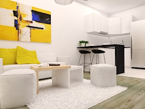projekt mieszkania we Wrocławiu o powierzchni 48 mkw - Salon, styl minimalistyczny - zdjęcie od Dekoncept
