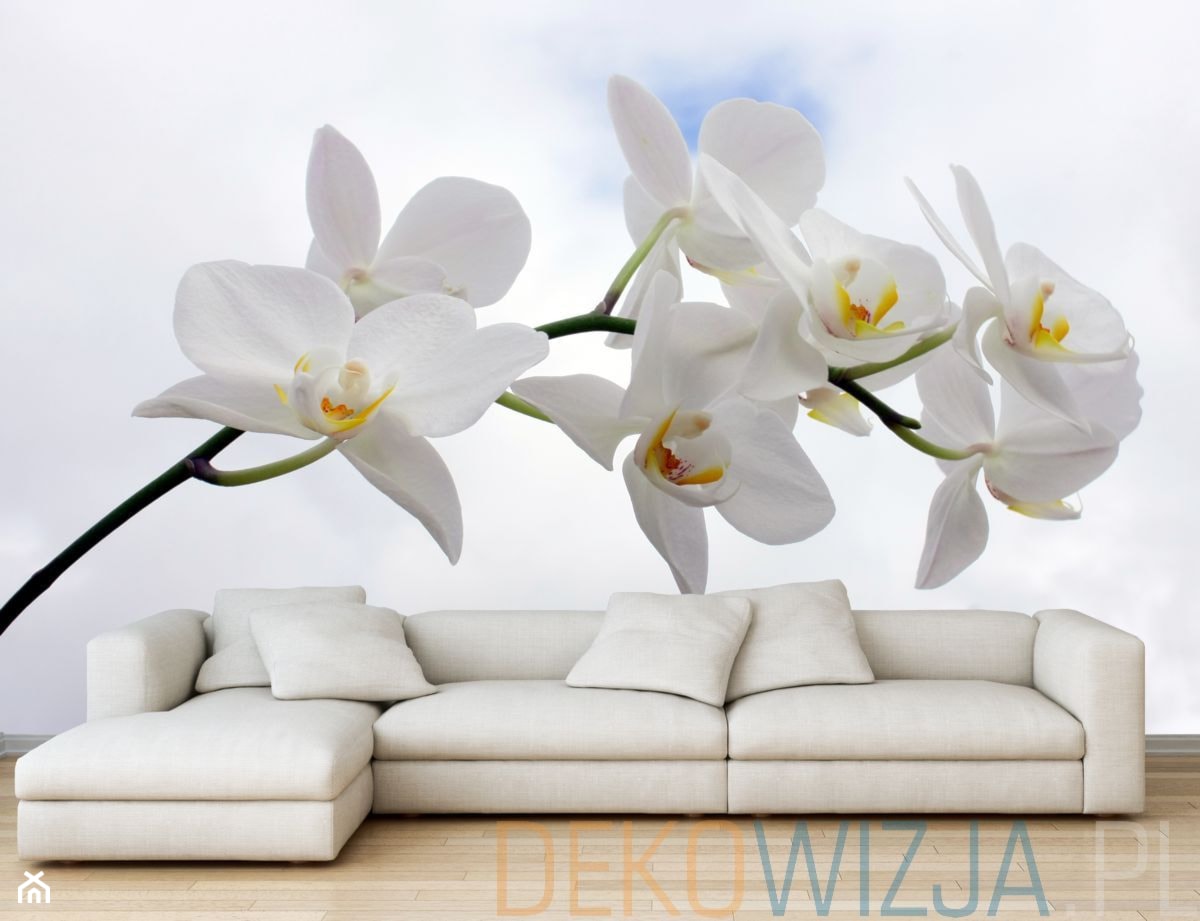 Fototapeta Orchidea na tle nieba - zdjęcie od dekowizja.pl - Homebook