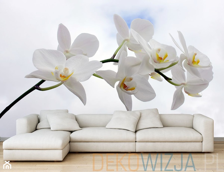 Fototapeta Orchidea na tle nieba - zdjęcie od dekowizja.pl