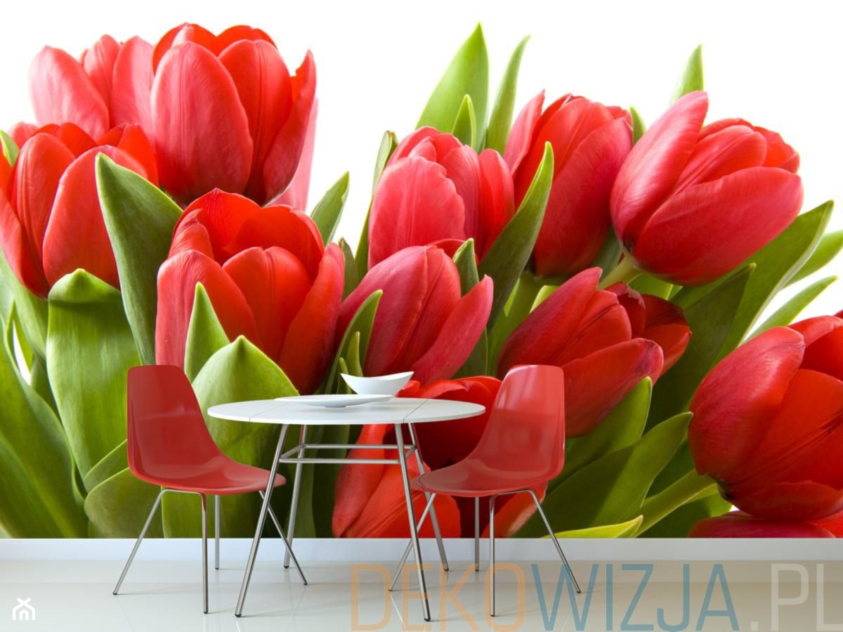 Fototapeta z czerwonymi tulipanami. - zdjęcie od dekowizja.pl - Homebook