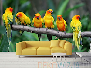 Fototapeta Kolorowe Papugi - zdjęcie od dekowizja.pl