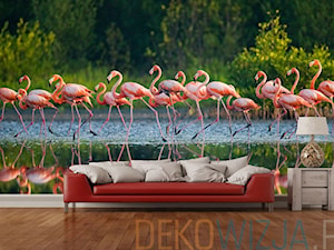 Fototapeta stado flamingów. - zdjęcie od dekowizja.pl