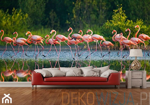 Fototapeta stado flamingów. - zdjęcie od dekowizja.pl