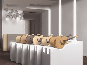 Sklep z gitarami - zdjęcie od simplespace