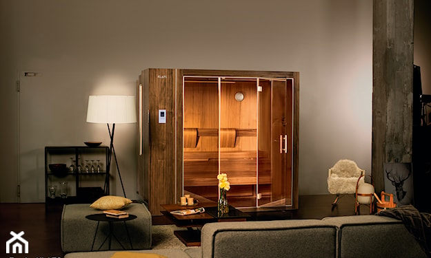 domowa sauna w salonie