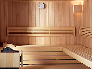 Odkrywamy tajemnice domowych saun. Poznaj dodatkowe korzyści i całkiem nowe funkcjonalności!