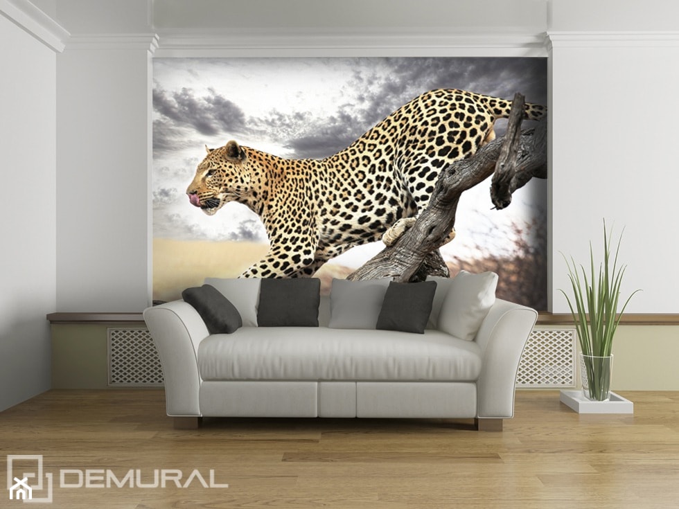 Skok geparda - zdjęcie od Demural - Homebook