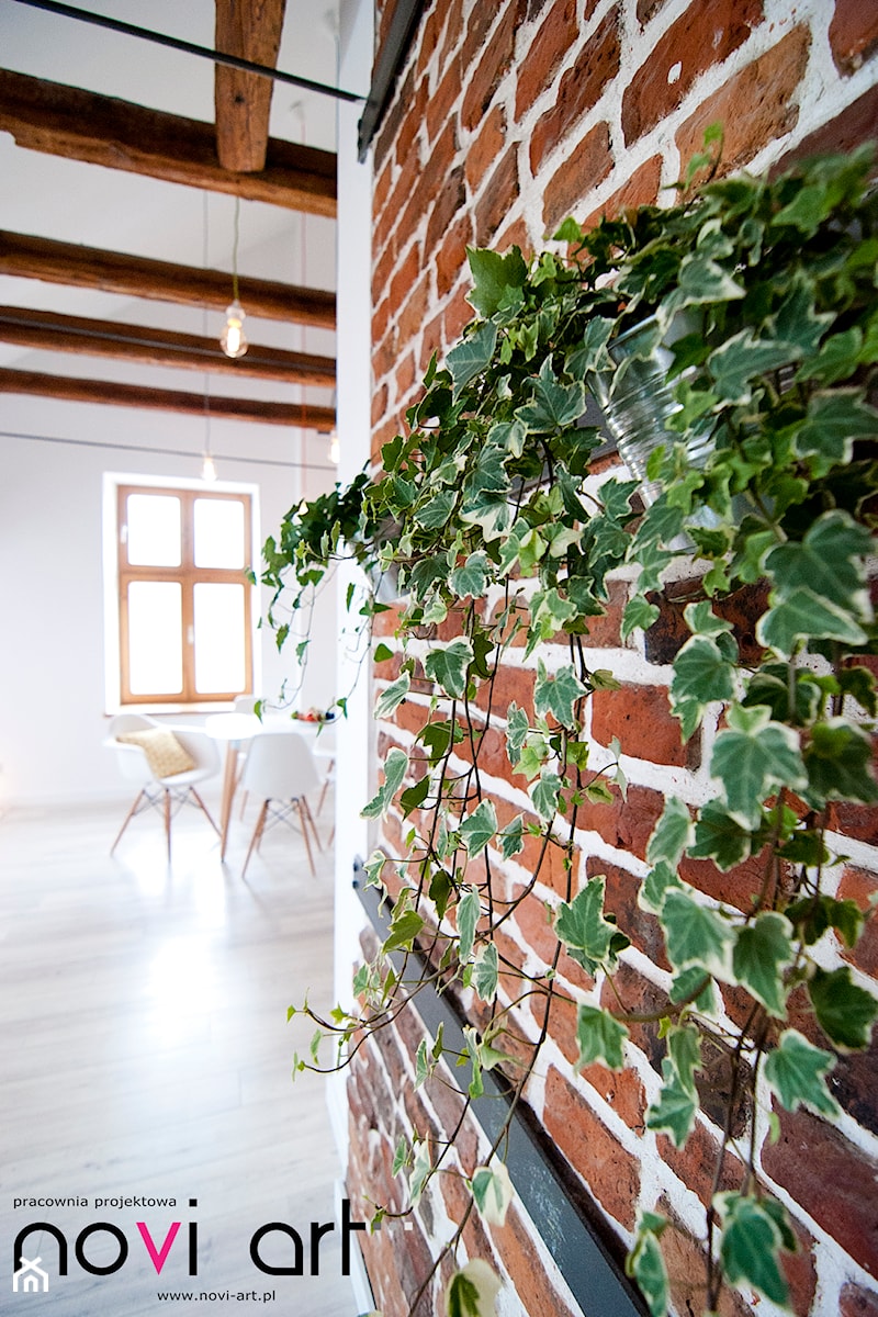 K12 Apartament 1 - Kraków - Realizacja 2015 - Mała biała brązowa jadalnia w salonie, styl skandynawski - zdjęcie od NOVI art Pracownia projektowa