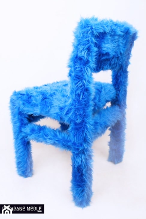 Krzesło Kudłaty Ryszard - zdjęcie od PORĄBANE MEBLE by E&N