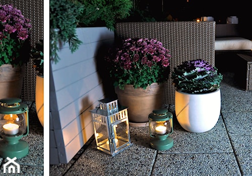 TARAS IV (nocą) - Średni z meblami ogrodowymi z donicami na kwiaty taras z tyłu domu - zdjęcie od APPO architektura krajobrazu