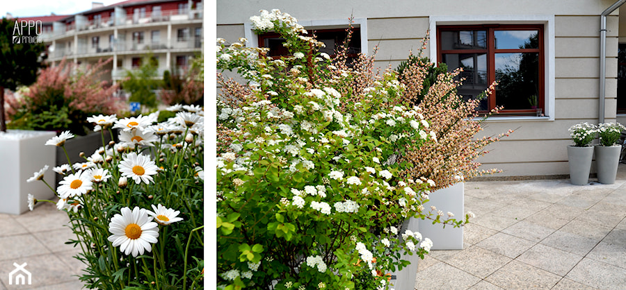 TARAS Gdańsk 2013 - Średni z donicami na kwiaty taras, styl nowoczesny - zdjęcie od APPO architektura krajobrazu