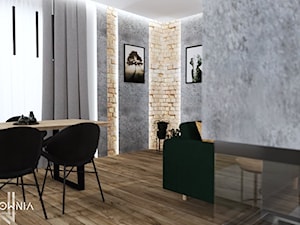Salon w czerni - zdjęcie od Wzorcownia Studio Architektury Wnętrz