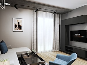 Męskie mieszkanie - zdjęcie od Wzorcownia Studio Architektury Wnętrz
