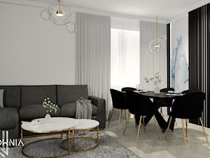 Salon wraz z jadalnią - zdjęcie od Wzorcownia Studio Architektury Wnętrz