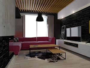 Dom jednorodzinny - Salon, styl nowoczesny - zdjęcie od P&M_Pracownia