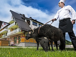 Hotel Piwniczna SPA&Conference - restauracja "Czarna Owca" i kucharze zapraszają - zdjęcie od 3BSTUDIO