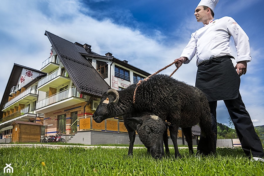 Hotel Piwniczna SPA&Conference - restauracja "Czarna Owca" i kucharze zapraszają - zdjęcie od 3BSTUDIO