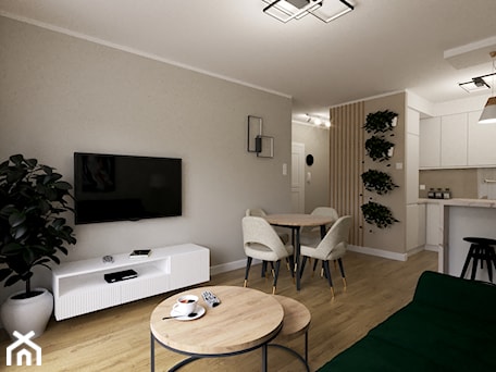 Aranżacje wnętrz - Salon: 40-metrowe mieszkanie Gdańsk - Salon, styl nowoczesny - JMJ Interiors. Przeglądaj, dodawaj i zapisuj najlepsze zdjęcia, pomysły i inspiracje designerskie. W bazie mamy już prawie milion fotografii!