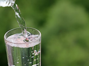 Oszczędność wody w gospodarstwie domowym – czysty zysk!