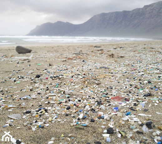 Mniej plastiku w Twoim domu – czystsza planeta dla przyszłych pokoleń