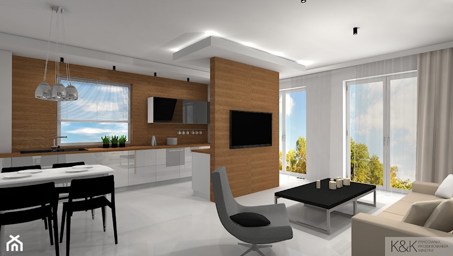 Projekt nowoczesnego mieszkania w Zielonej Górze - Salon, styl nowoczesny - zdjęcie od K&K Pracownia Projektowania Wnętrz