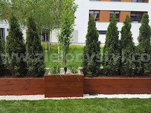 Donice z drewna - zdjęcie od Zielony Styl -Projektowanie, realizacja ogrodów i tarasów