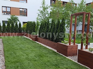 Drewniane donice - zdjęcie od Zielony Styl -Projektowanie, realizacja ogrodów i tarasów