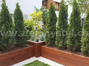 Donice drewniane pod wymiar - zdjęcie od Zielony Styl -Projektowanie, realizacja ogrodów i tarasów