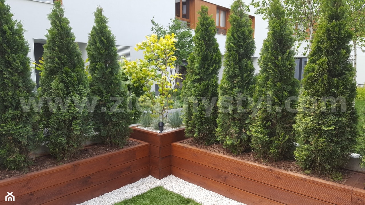 Donice drewniane pod wymiar - zdjęcie od Zielony Styl -Projektowanie, realizacja ogrodów i tarasów - Homebook
