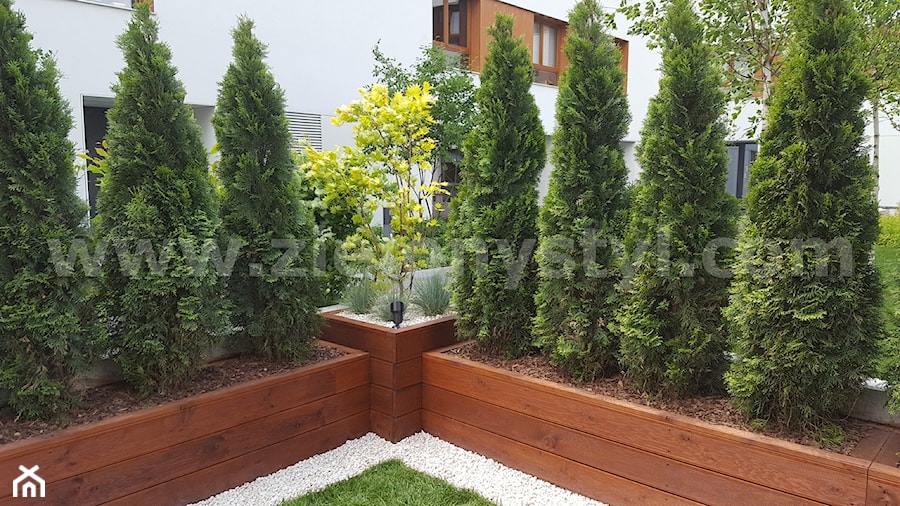 Donice drewniane pod wymiar - zdjęcie od Zielony Styl -Projektowanie, realizacja ogrodów i tarasów