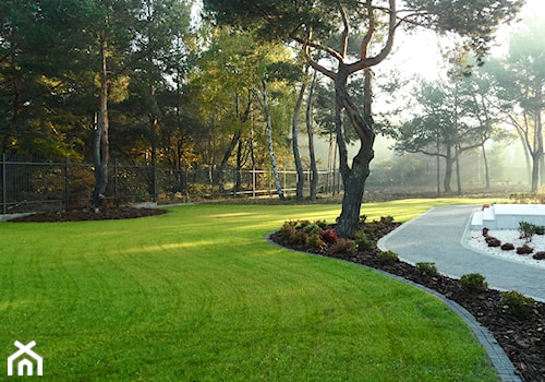 Ogród w lesie - zdjęcie od Zielony Styl -Projektowanie, realizacja ogrodów i tarasów