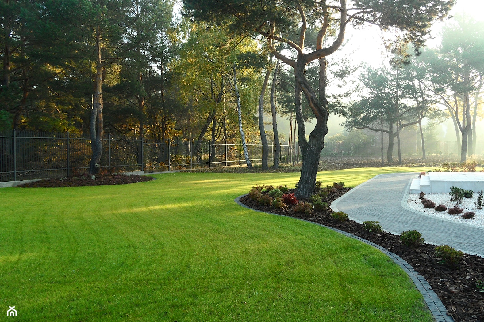 Ogród w lesie - zdjęcie od Zielony Styl -Projektowanie, realizacja ogrodów i tarasów - Homebook