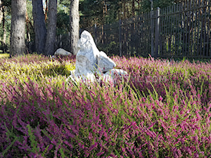 Kamień w ogrodzie - zdjęcie od Zielony Styl -Projektowanie, realizacja ogrodów i tarasów