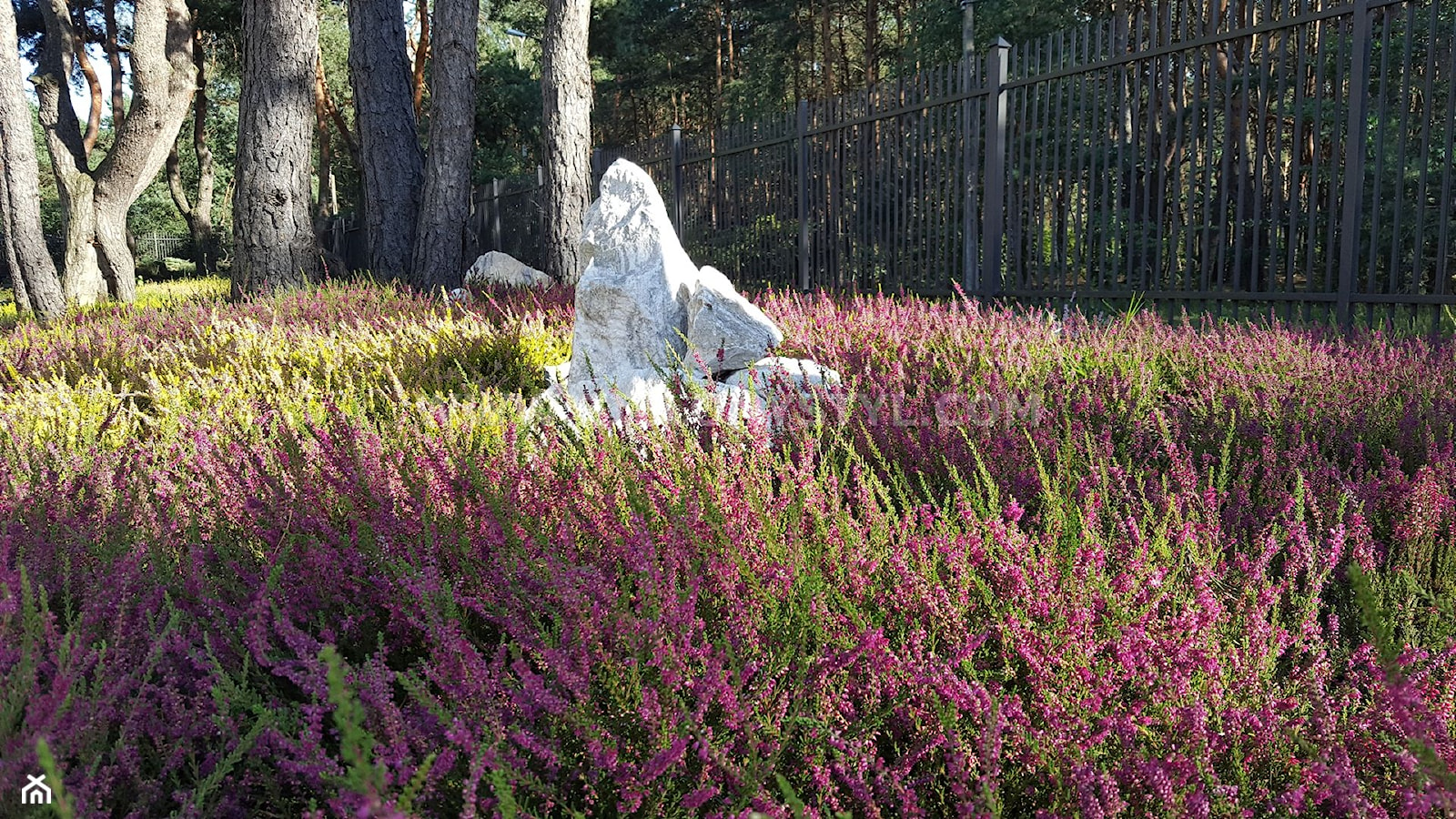 Kamień w ogrodzie - zdjęcie od Zielony Styl -Projektowanie, realizacja ogrodów i tarasów - Homebook