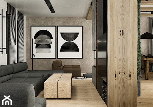 Projekt wnętrza poniemieckiego domu 200m2 we Wrocławiu - Mały brązowy szary salon, styl nowoczesny - zdjęcie od troomono