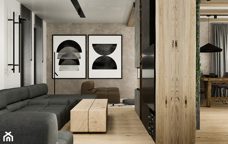 Projekt wnętrza poniemieckiego domu 200m2 we Wrocławiu - Mały brązowy szary salon, styl nowoczesny - zdjęcie od troomono - Homebook