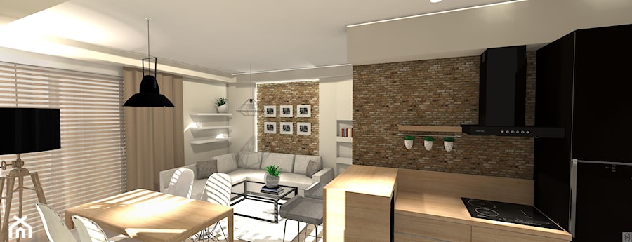 mieszkanie 50m2 - 2 - Salon, styl nowoczesny - zdjęcie od Olga Ścibior Projektowanie Wnętrz