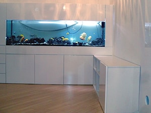 Obudowa akwarium - zdjęcie od cezar-meble