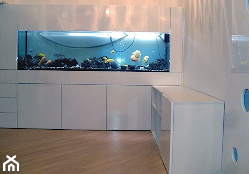 Obudowa akwarium - zdjęcie od cezar-meble