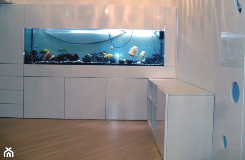 Obudowa akwarium - zdjęcie od cezar-meble - Homebook