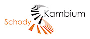 Kambium-Schody