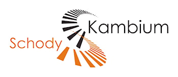 Kambium-Schody