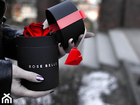 Aranżacje wnętrz - : Rose Belle Mini Box - RoseBelle. Przeglądaj, dodawaj i zapisuj najlepsze zdjęcia, pomysły i inspiracje designerskie. W bazie mamy już prawie milion fotografii!