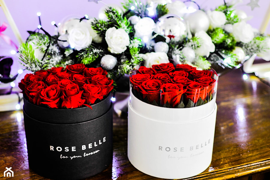 Rose Belle - zdjęcie od RoseBelle