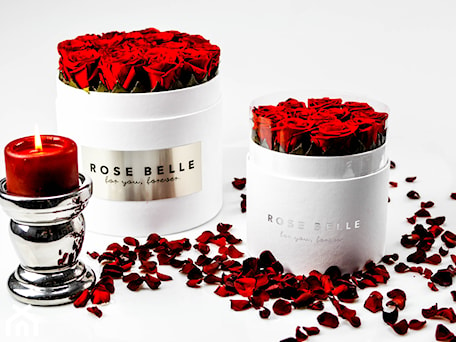 Aranżacje wnętrz - : Rose Belle Box - RoseBelle. Przeglądaj, dodawaj i zapisuj najlepsze zdjęcia, pomysły i inspiracje designerskie. W bazie mamy już prawie milion fotografii!