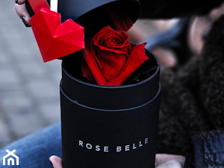 Aranżacje wnętrz - : Mini Box Rose Belle - RoseBelle. Przeglądaj, dodawaj i zapisuj najlepsze zdjęcia, pomysły i inspiracje designerskie. W bazie mamy już prawie milion fotografii!