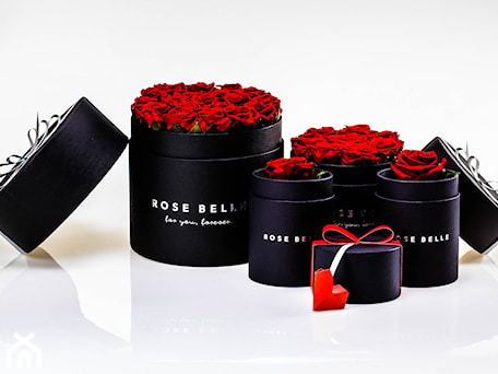 Aranżacje wnętrz - : Box Rose Belle - RoseBelle. Przeglądaj, dodawaj i zapisuj najlepsze zdjęcia, pomysły i inspiracje designerskie. W bazie mamy już prawie milion fotografii!