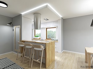 Salon z kuchnią G&M, Rybnik - Mała otwarta biała z podblatowym zlewozmywakiem kuchnia dwurzędowa z wyspą lub półwyspem, styl skandynawski - zdjęcie od MOJO pracownia projektowa